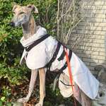 Ersteller:in Petra Profilbild