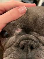 Blutende Stelle an Falte-Beitrag-Bild