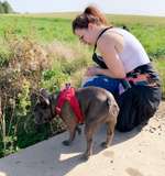 Hundeauslaufgebiet-Hölloch-Bild