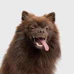 Ersteller:in Robert Profilbild