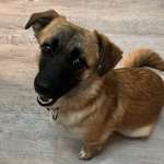 Ersteller:in Miriam Profilbild