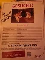 Suchmeldung-Jule-Bild