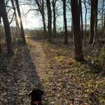 Ersteller:in Lisi Profilbild