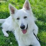 Ersteller:in Danielle Profilbild