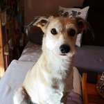 Ersteller:in Jacqueline Profilbild