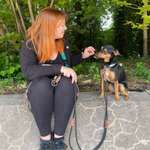 Ersteller:in Conny Profilbild