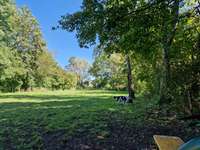 Hundeauslaufgebiet-Hundewiese Karlsfeld-Bild