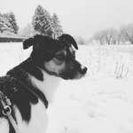 Ersteller:in Annette Profilbild