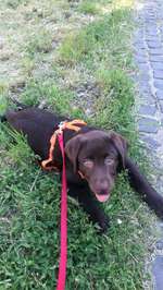 Ersteller:in Ahmad Profilbild