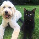 Ersteller:in Susi Profilbild