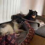 Ersteller:in Manuela Profilbild