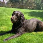 Ersteller:in Elena Profilbild