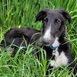 Ersteller:in Yvonne Profilbild