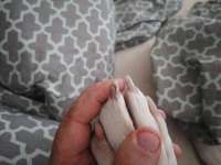 Kralle gerissen-Beitrag-Bild