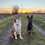 Ersteller:in Alina Profilbild