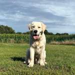 Ersteller:in Hannah Profilbild