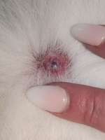 Kann uns jemand behilflich sein?-Beitrag-Bild