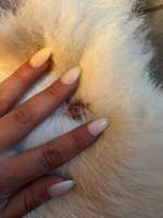 Kann uns jemand behilflich sein?-Beitrag-Bild