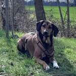 Ersteller:in Kristin Profilbild