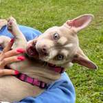 Ersteller:in Saskia Profilbild