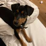 Ersteller:in Ines Profilbild