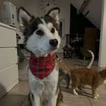 Ersteller:in Isabelle Profilbild