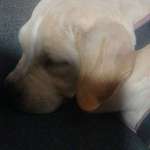 Ersteller:in Celina Profilbild