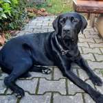 Ersteller:in Tatjana Profilbild