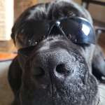 Ersteller:in Marco Profilbild