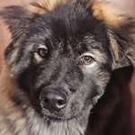 Ersteller:in Jessica Profilbild