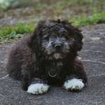 Ersteller:in Johanna Profilbild