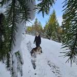 Ersteller:in Lena Profilbild