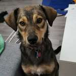 Ersteller:in Jennifer Profilbild