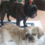 Ersteller:in Klaudia Profilbild