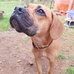 Ersteller:in Monky Profilbild