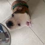 Ersteller:in Jennifer Profilbild