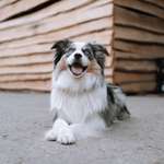 Ersteller:in Zoey Profilbild