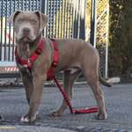 Ersteller:in Jenny Profilbild