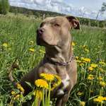 Ersteller:in Jenny Profilbild