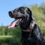 Ersteller:in Michael Profilbild