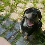 Ersteller:in Larissa Profilbild