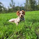 Ersteller:in Antonietta Profilbild