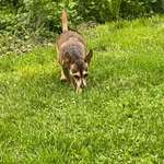 Ersteller:in Izzet Profilbild