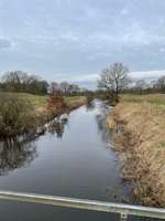 Hundeauslaufgebiet-An der Rreene-Bild