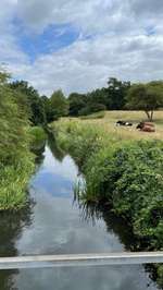 Hundeauslaufgebiet-An der Rreene-Bild