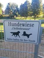 Hundeauslaufgebiet-Cäcilienbrunnen-Bild