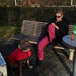 Ersteller:in El Profilbild