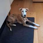 Ersteller:in Mona Profilbild