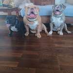 Ersteller:in Antonia Profilbild