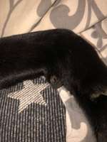 Wurzelballen Hund-Beitrag-Bild